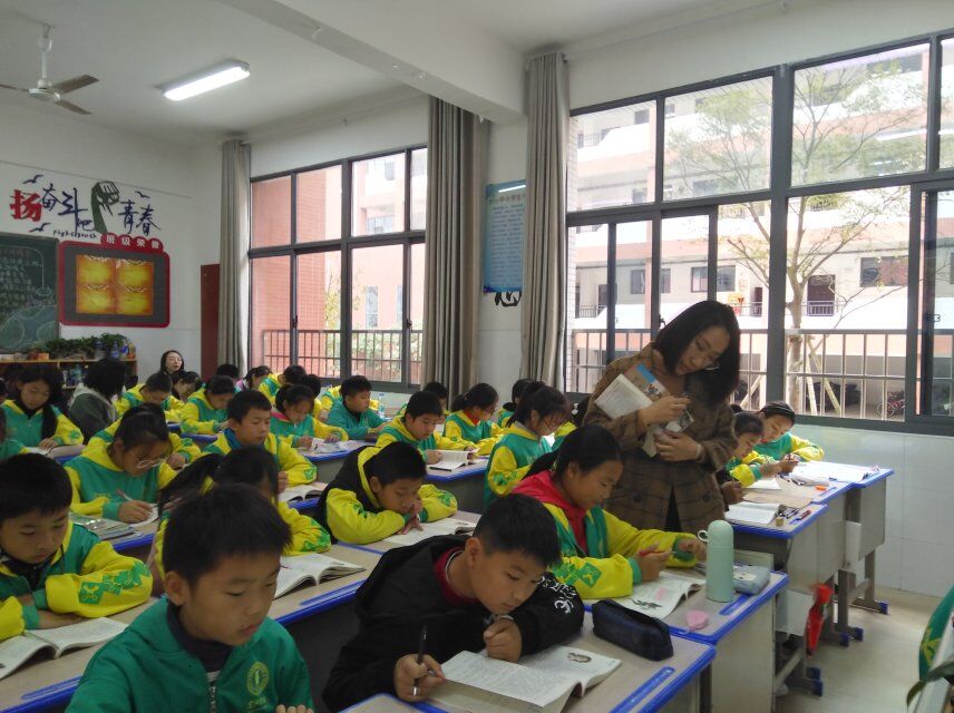 7龙