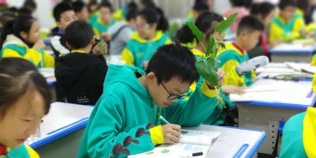 微信图片_20181203102848