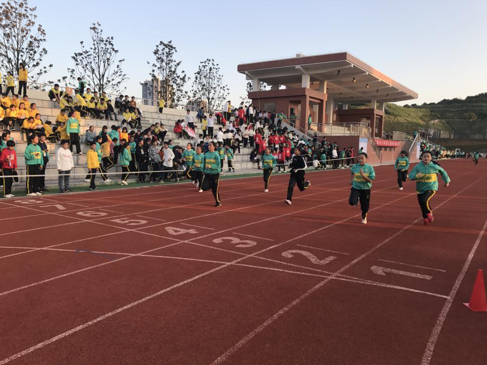 我运动 我健康——宜阳学校初中部2017年第七届阳光体育节顺利开幕