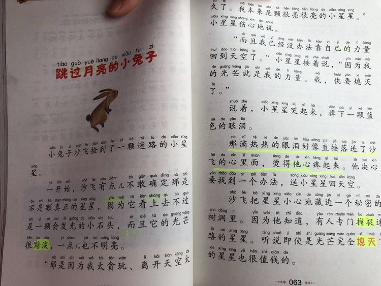 本次年级里共读的篇目有:《再见,小刺猬》《绿野仙踪》和《神笔马良
