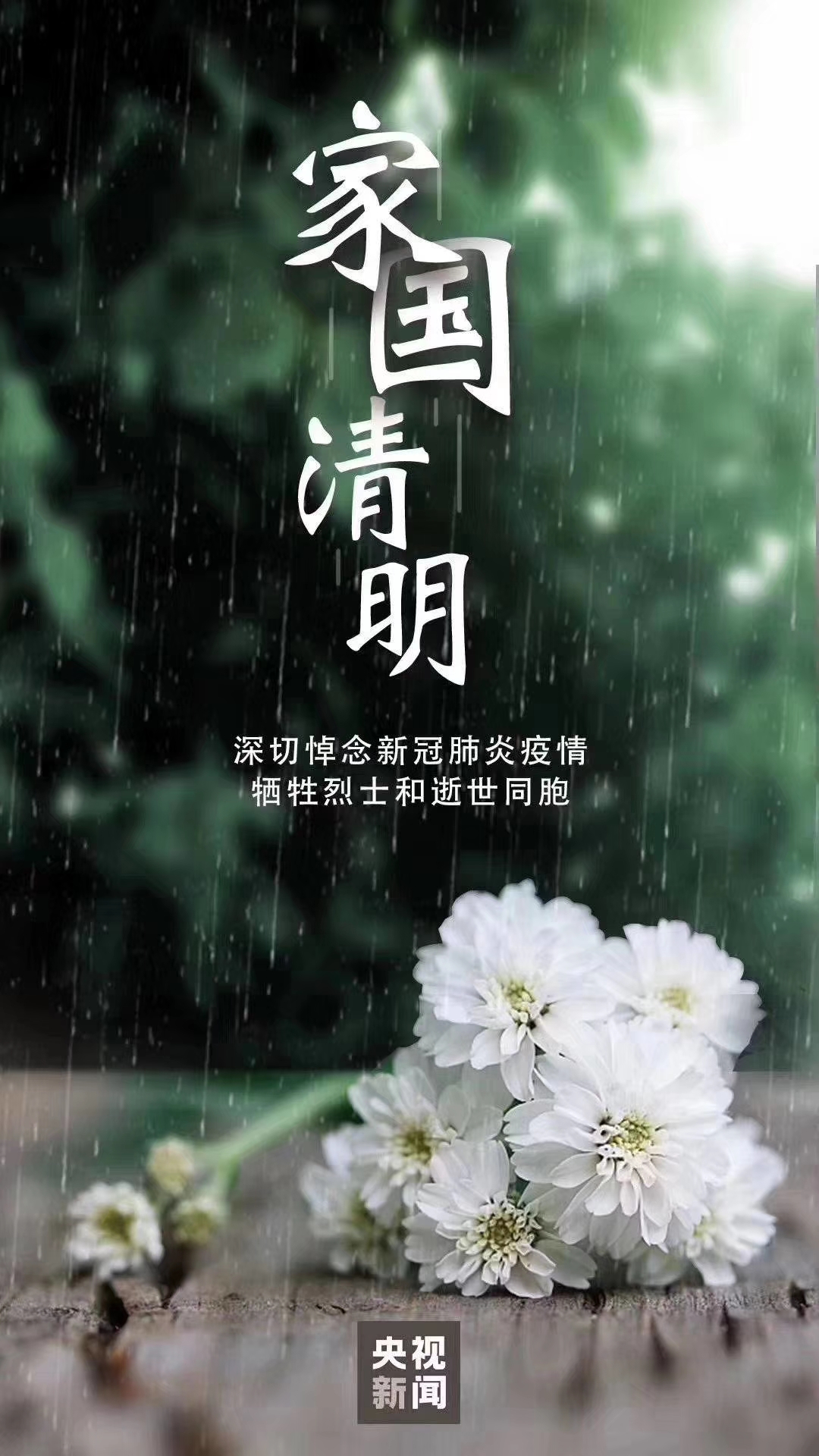 缅怀先烈致敬抗疫英雄我校举行线上清明祭英烈仪式