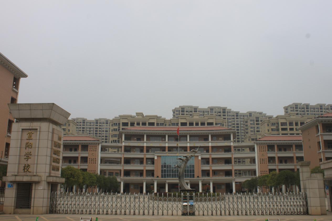 办家门口的好学校宜阳学校建校十年一校四区竞芬芳