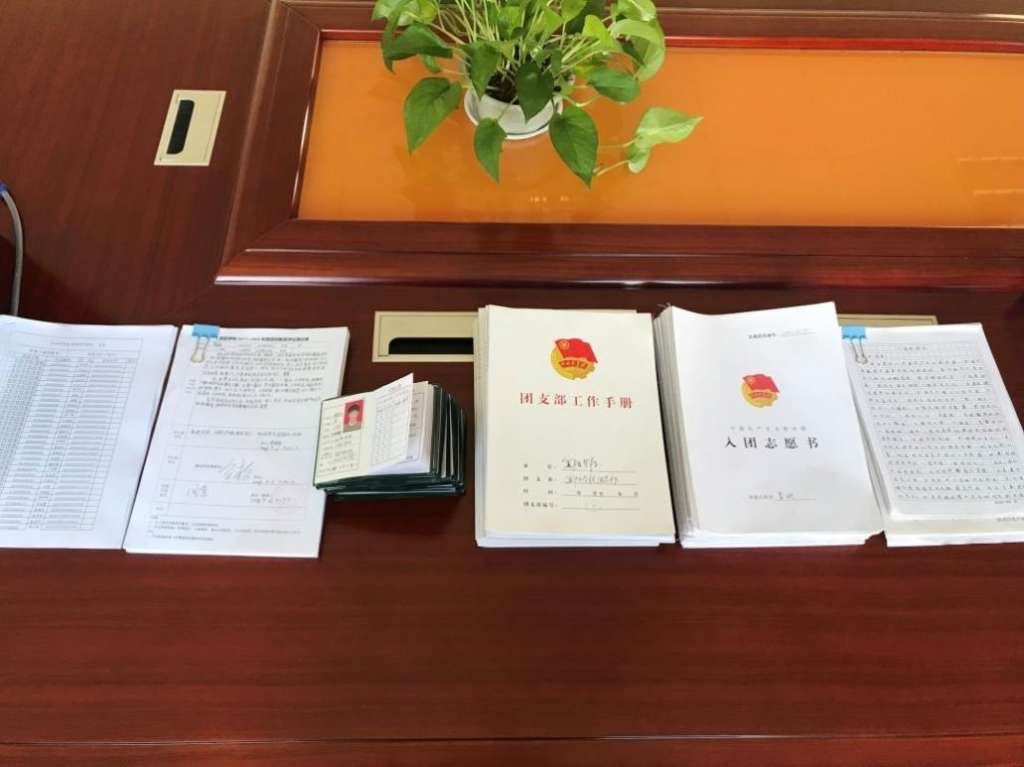 迎检资料涂书记认真的翻阅了同学们的《入团志愿书》,团籍注册本等